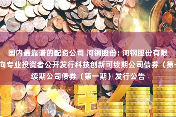 国内最靠谱的配资公司 河钢股份: 河钢股份有限公司2025年面向专业投资者公开发行科技创新可续期公司债券（第一期）发行公告
