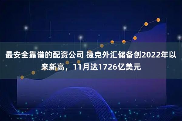 最安全靠谱的配资公司 捷克外汇储备创2022年以来新高，11月达1726亿美元